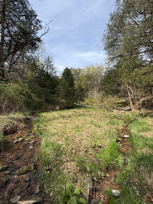00 Cantwell Valley Road, Sneedville, TN, 37869 | Card Image