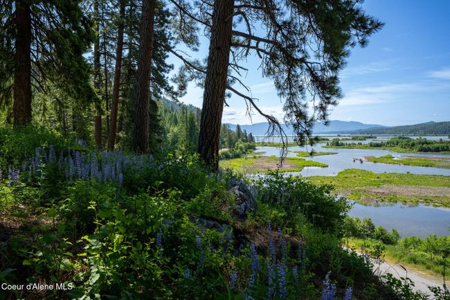 238 Black Sheep Rd, Home with 0 bedrooms, 0 bathrooms and null parking in Hope ID | Image 9