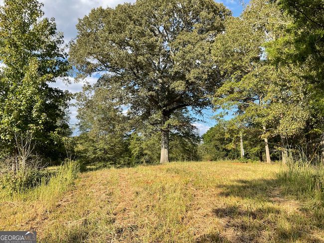 5773 Post Rd, Home with 0 bedrooms, 0 bathrooms and null parking in MONTICELLO GA | Image 22