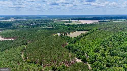 0 Neily Wagon Rd, Mc Rae Helena, GA, 31055 | Card Image