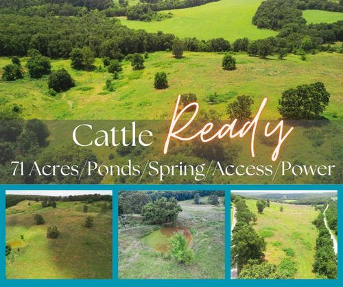 000 N Highway E, Hartville, MO, 65667 | Card Image