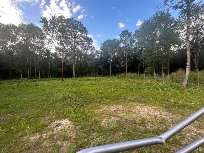 3 Judy Ln, Home with 0 bedrooms, 0 bathrooms and null parking in Shepherd TX | Image 6
