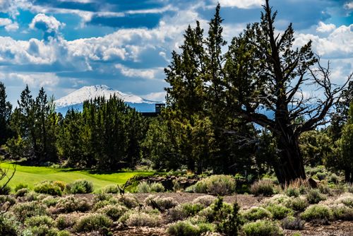 lot-186-22933 Canyon View Loop, Bend, OR, 97701-0122 | Card Image