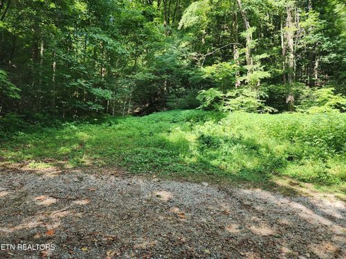 1986 Carrs Creek Rd, Townsend, TN, 37882-2902 | Card Image