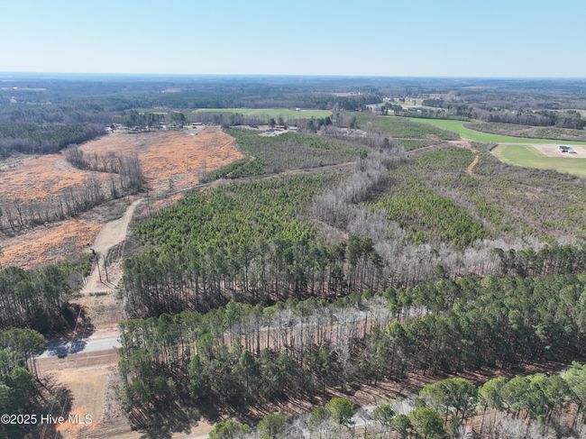 Tbd0 W Old Spring Hope Rd, Home with 0 bedrooms, 0 bathrooms and null parking in Spring Hope NC | Image 6