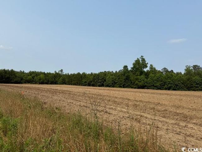 8 Mack Rd, Home with 0 bedrooms, 0 bathrooms and null parking in Conway SC | Image 4