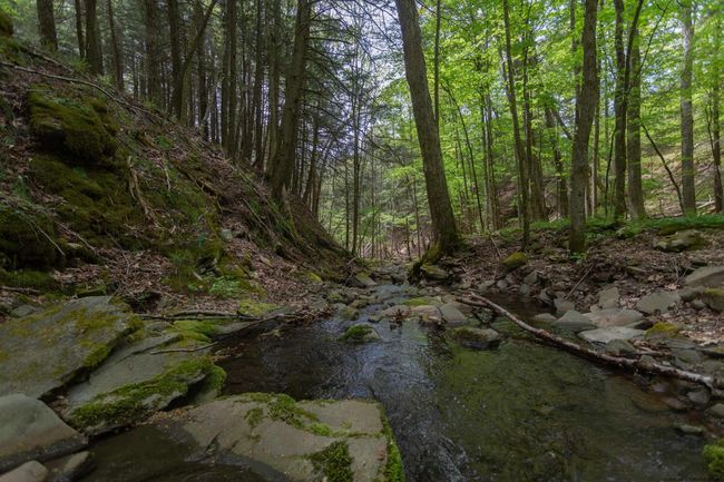 14 - 1214 Armstrong Rd, House other with 7 bedrooms, 4 bathrooms and null parking in Arkville NY | Image 13