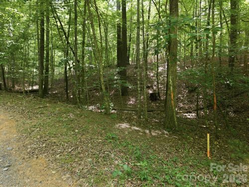 2411 Hundred Acre Ln, Lenoir, NC, 28645 | Card Image
