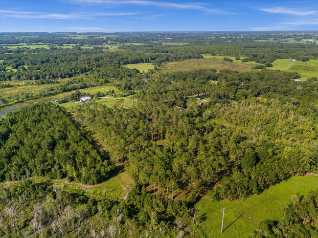 9535 Number Two Rd, Home with 0 bedrooms, 0 bathrooms and null parking in Howey In The Hills FL | Image 12