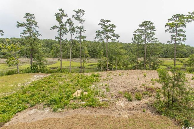View of of rear yard | Image 31