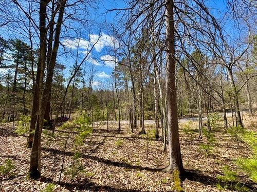 ON Catfish Lake Rd, Eagle River, WI, 54521 | Card Image