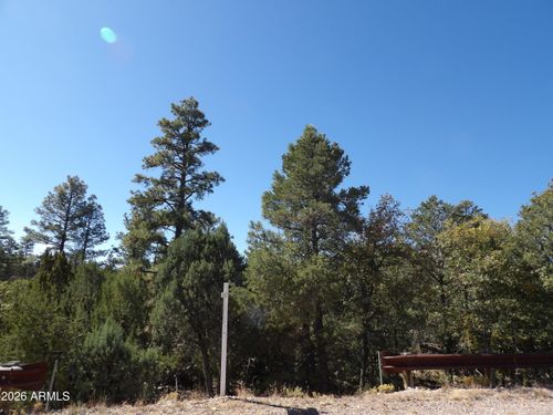169-3642 Pinehurst Dr, Happy Jack, AZ, 86024 | Card Image