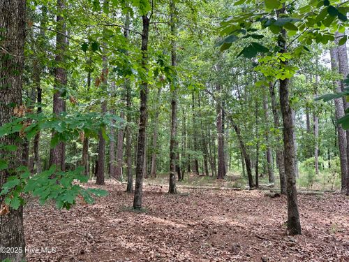 513 Holland Mill Ln, Stella, NC, 28582-9694 | Card Image