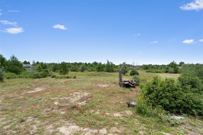 back yard with trees | Image 33