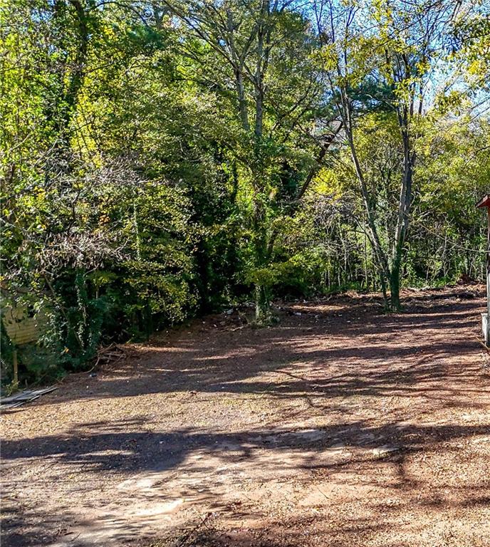 Land in Atlanta 3