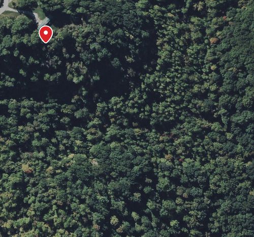 1290 Ky Highway 3249, Stanford, KY, 40484-9156 | Card Image