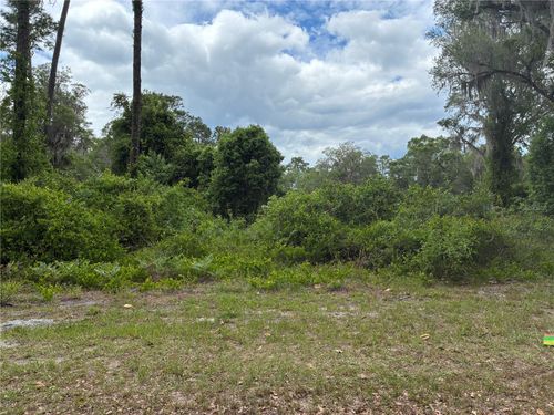 00 Se 87 Street, OCKLAWAHA, FL, 32179 | Card Image