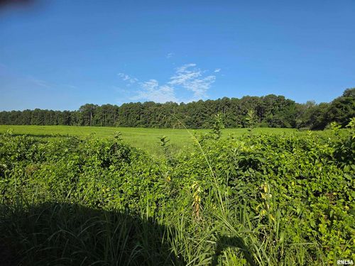 00 Catholic Church Rd, Golconda, IL, 62938 | Card Image