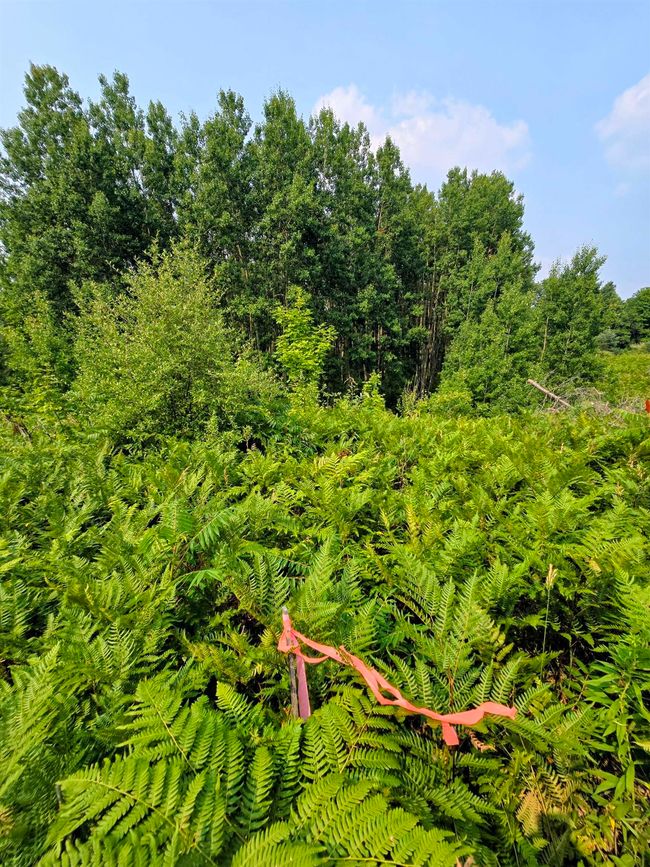 Property Marker #3 | Image 6