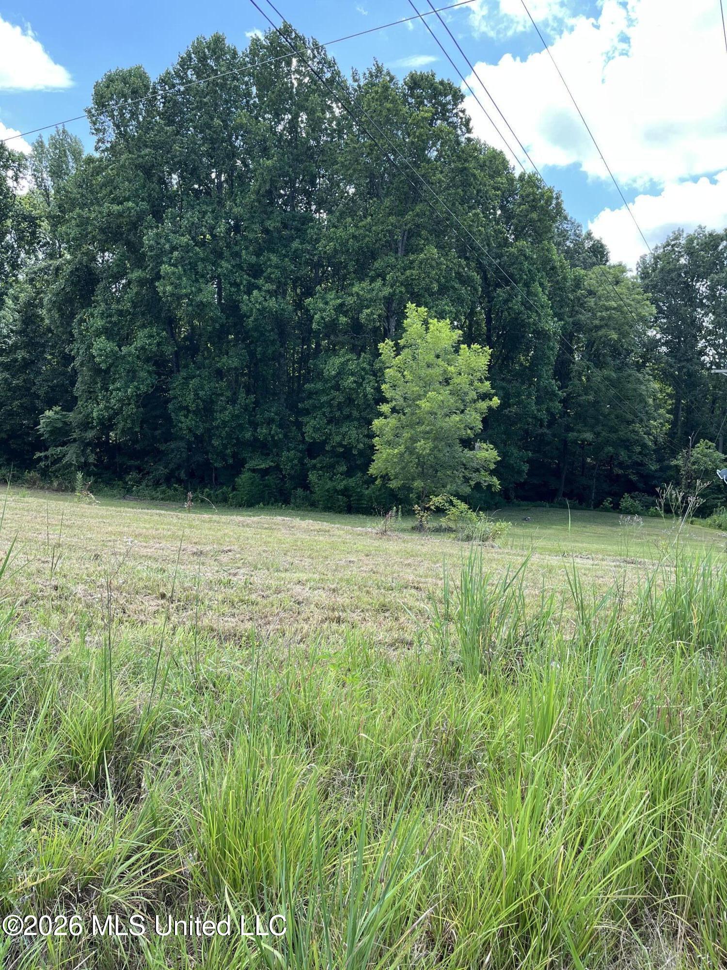 Land in Byhalia 2