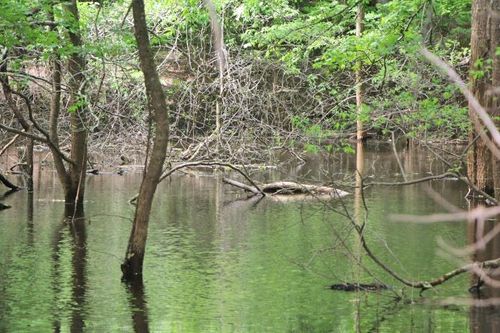 355 Cherokee Rd, Lucas, KY, 42156-9353 | Card Image