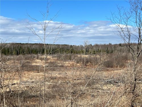 0 High St, Natural Bridge, NY, 13665 | Card Image