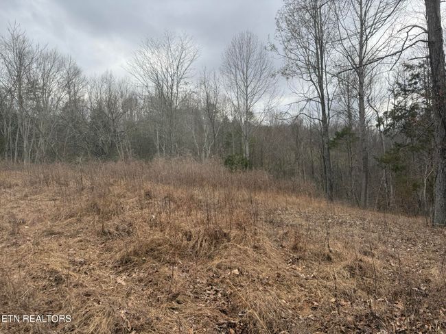 649 Garrett Town Ln, Home with 0 bedrooms, 0 bathrooms and null parking in Monroe TN | Image 14