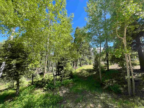 Lot 183 Taos Dr, Angel Fire, NM, 87710-8269 | Card Image