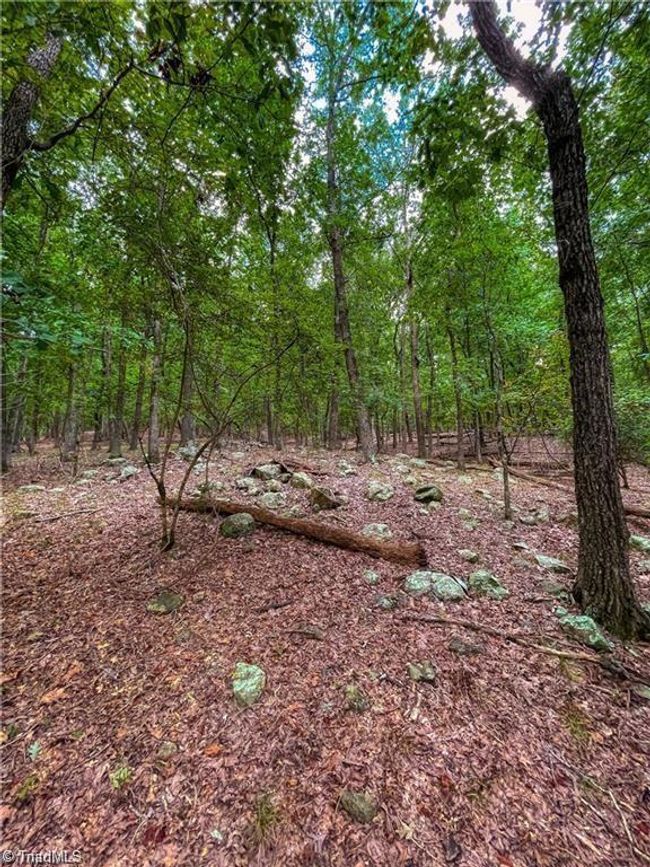 0 Rocky Cove Ln, Home with 0 bedrooms, 0 bathrooms and null parking in Denton NC | Image 11