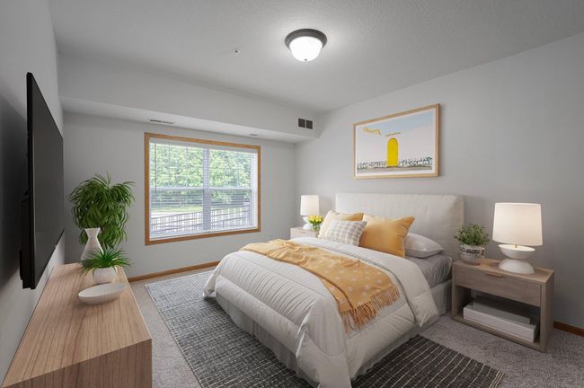 UNIT-106 - 9165 Comstock Ln N, Condo with 2 bedrooms, 2 bathrooms and null parking in Maple Grove MN | Image 4