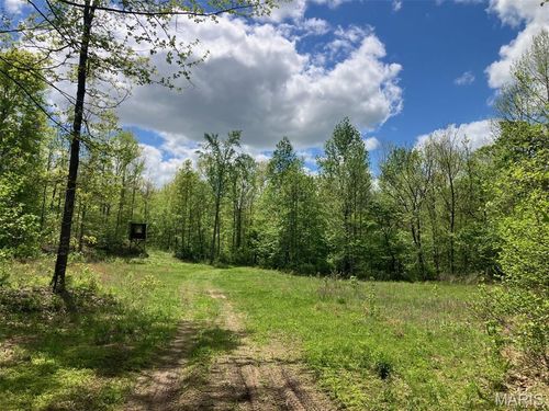 225 Madison Cr 410, Fredericktown, MO, 63645 | Card Image