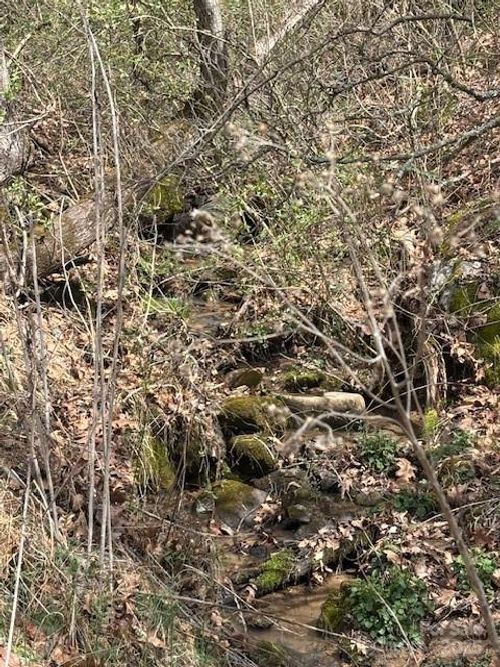 25-25 Green Meadow Ln, Mars Hill, NC, 28754 | Card Image