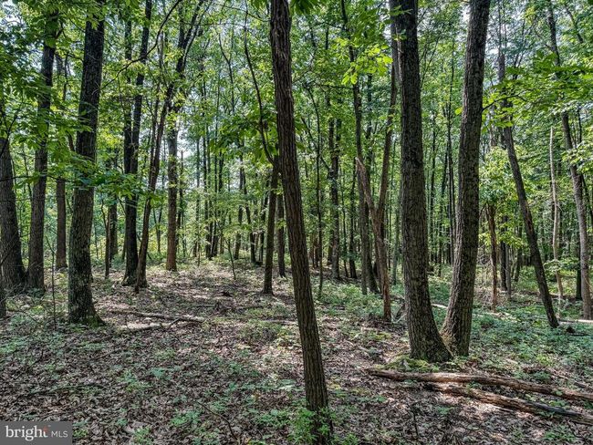 0 Heisey Rd, Home with 0 bedrooms, 0 bathrooms and null parking in SHIPPENSBURG PA | Image 29