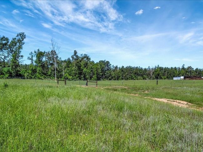 3103 Cheeseland Rd, Home with 0 bedrooms, 0 bathrooms and null parking in Pollok TX | Image 37