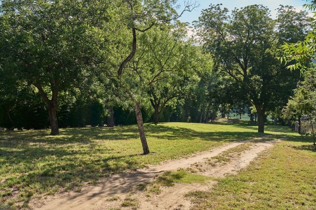 View of property's community featuring a lawn and dirt driveway | Image 33