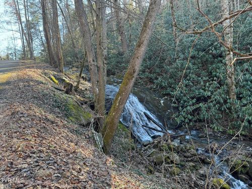 0 Access Rd, Flag Pond, TN, 37657 | Card Image
