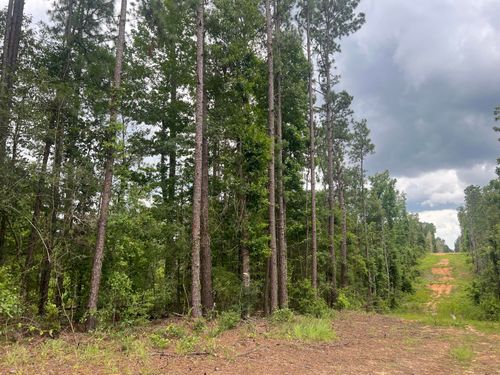 #7 Lawler Rd, Lumberton, MS, 39455-7816 | Card Image