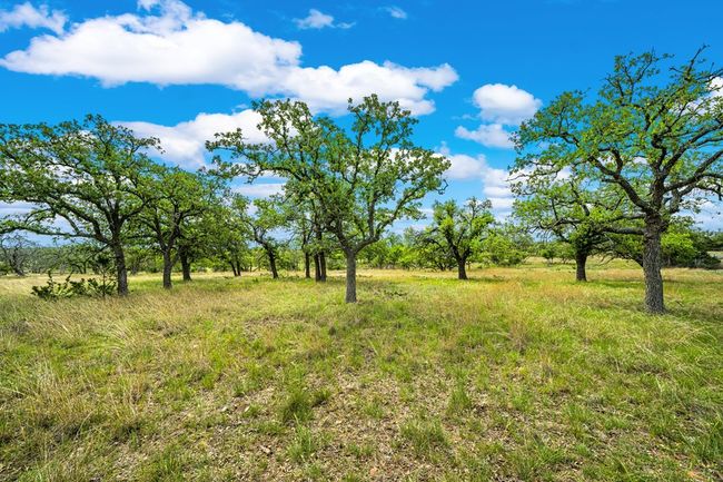 1379 Barker Rogers Rd, Home with 0 bedrooms, 0 bathrooms and null parking in Harper TX | Image 23