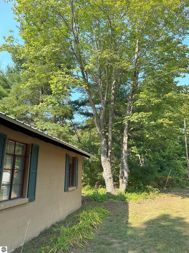 9591 Tower Rd Ne, House other with 1 bedrooms, 1 bathrooms and null parking in Kalkaska MI | Image 18
