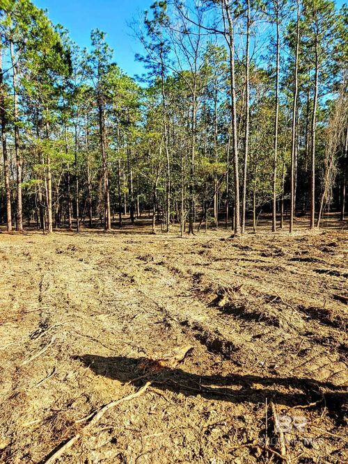 11040 County Road 138, Bay Minette, AL, 36507-7110 | Card Image