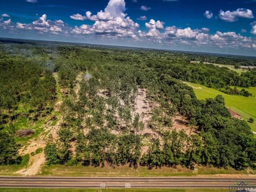 TBD Fm 1968, Harleton, TX, 75651 | Card Image