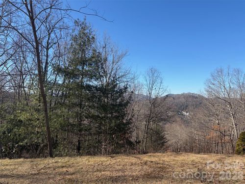 42-LT 42 Beechfern Drive, Glenville, NC, 28736 | Card Image