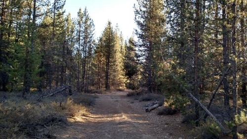 4800 Bear Flat Rd, Chemult, OR, 97731 | Card Image