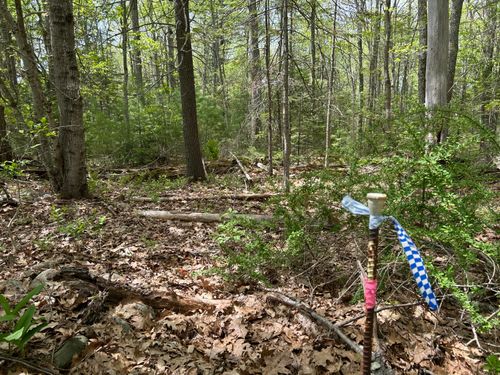 103 Ledges Cir, Waldoboro, ME, 04572-6129 | Card Image