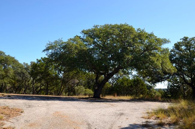 K12104 Custers Cir, Home with 0 bedrooms, 0 bathrooms and null parking in Horseshoe Bay TX | Image 7