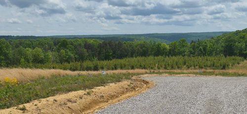 47 Pineview Road, Dunlap, TN, 37327 | Card Image