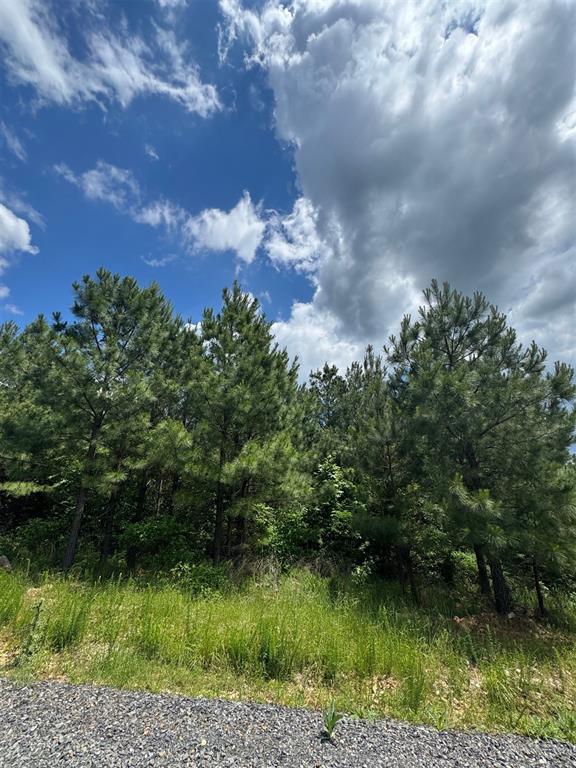 Land in Broken Bow 4