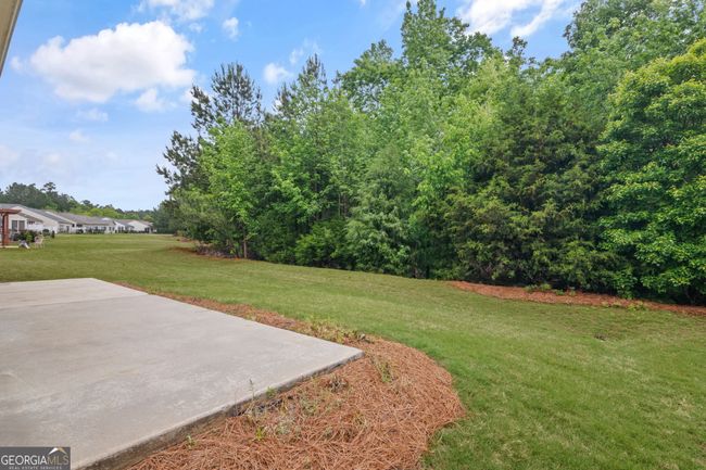 133 Begonia Ct, House other with 3 bedrooms, 2 bathrooms and 2 parking in Griffin GA | Image 33