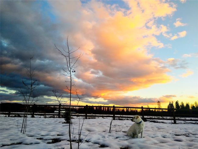 4395 Us Highway 93 W, House other with 7 bedrooms, 5 bathrooms and null parking in Whitefish MT | Image 7