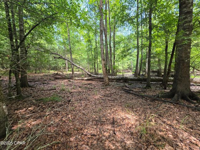 0 River Rd. Road, Home with 0 bedrooms, 0 bathrooms and null parking in Bascom FL | Image 14